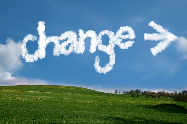 Corso di formazione Corso online - CORSO CHANGE MANAGEMENT Corso Corso online - CORSO CHANGE MANAGEMENT