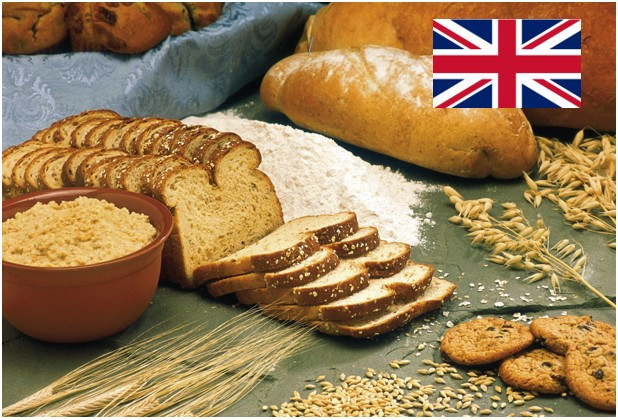 Corso Corso online - TRAINING COURSE FOR FOOD HANDLERS